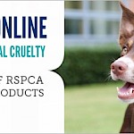 Do you shop online with the RSPCA?