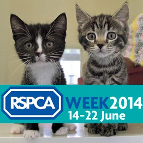 It's RSPCA WEEK!