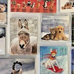 RSPCA Christmas Cards and Diaries ON SALE NOW !
