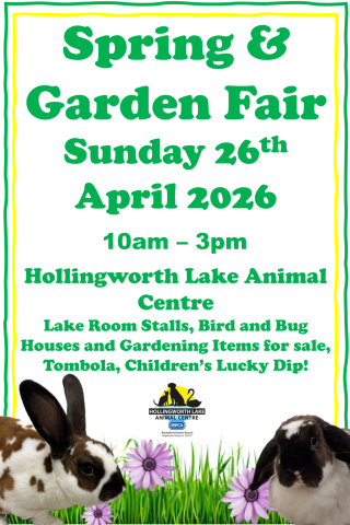 Are you attending our Spring Fair?